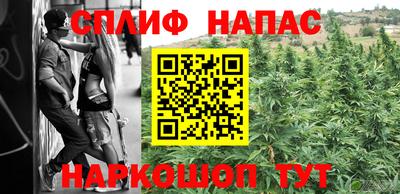 твердый Славгород