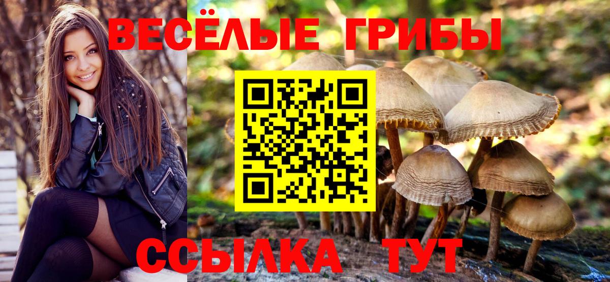 закладка  Галлюциногенные грибы мицелий  Вход с VPN  Нижний Тагил 